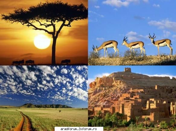Africa Wallpapers - admin - Poze diverse