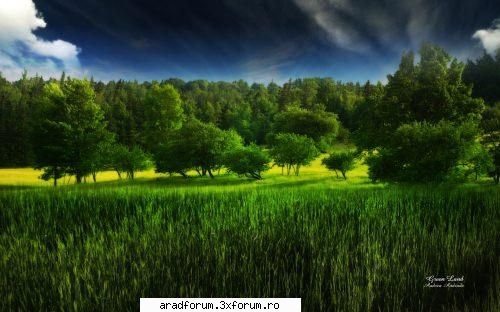 poze natura